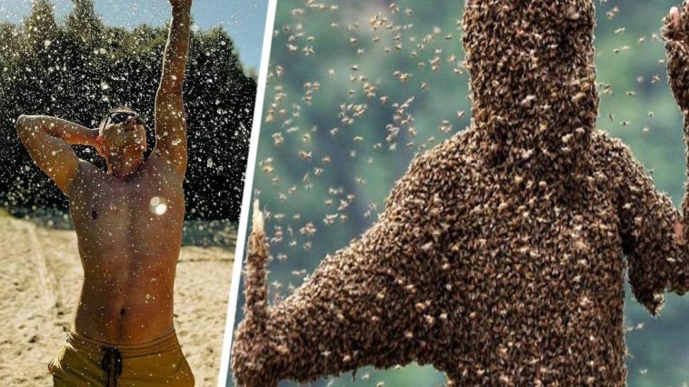Saldırgan böcekler İtalya sahillerinde turizmi vurdu